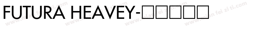 FUTURA HEAVEY字体转换